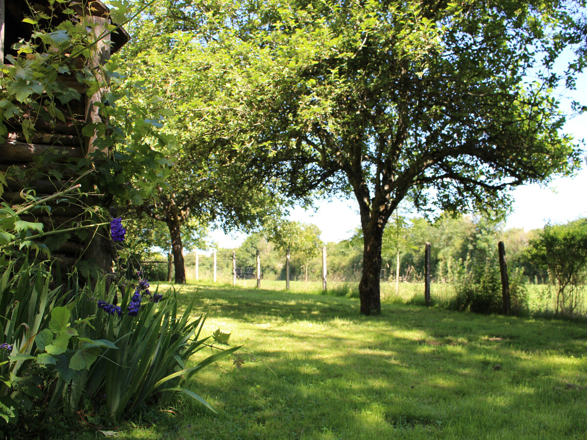 Gîte 6 pers. avec jardin, cheminée et vélos à Berfay - Photo 2