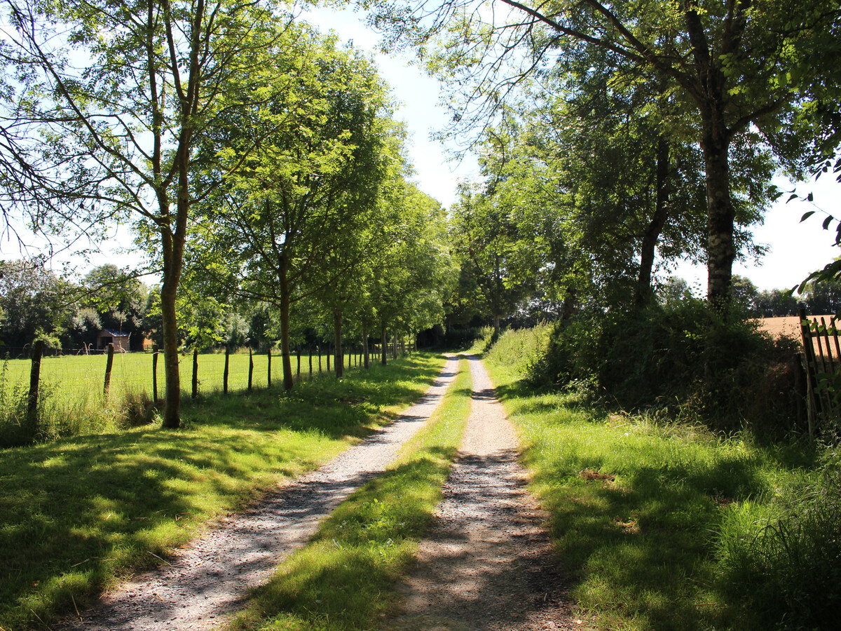 Gîte 6 pers. avec jardin, cheminée et vélos à Berfay - Photo 8