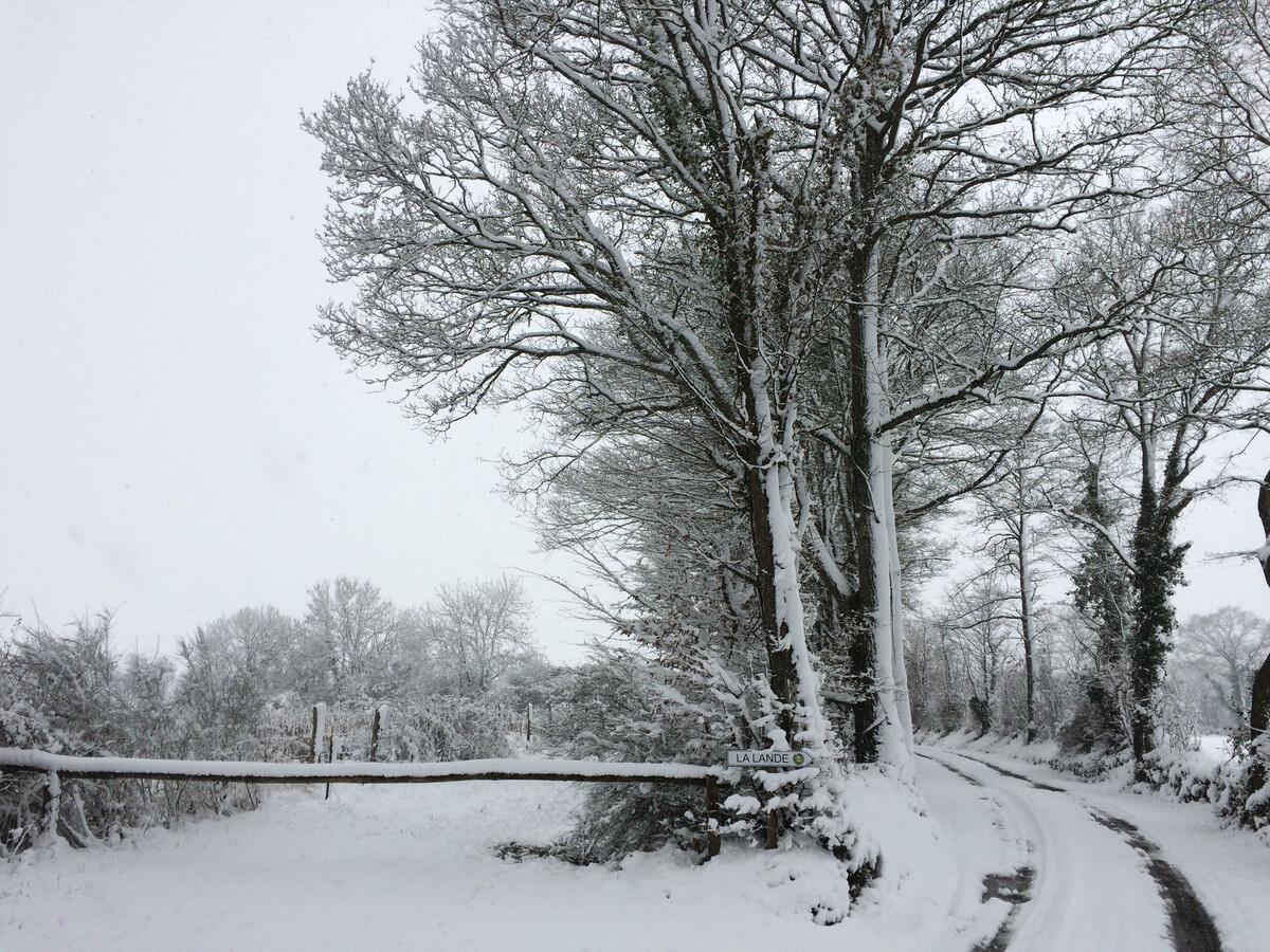 Gîte 6 pers. avec jardin, cheminée et vélos à Berfay - Photo 9