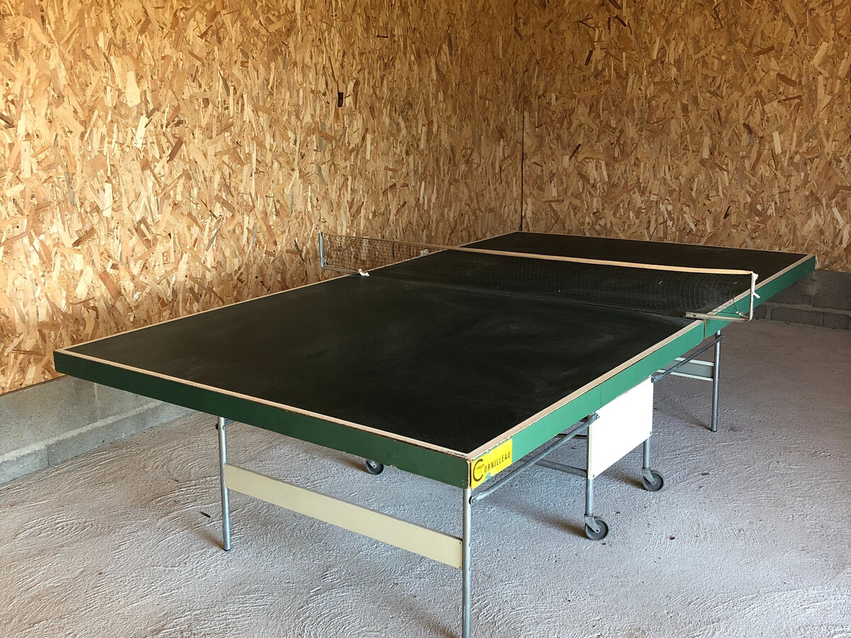 Longère rénovée 11 pers. près du Mans, jardin et ping-pong - Photo 3