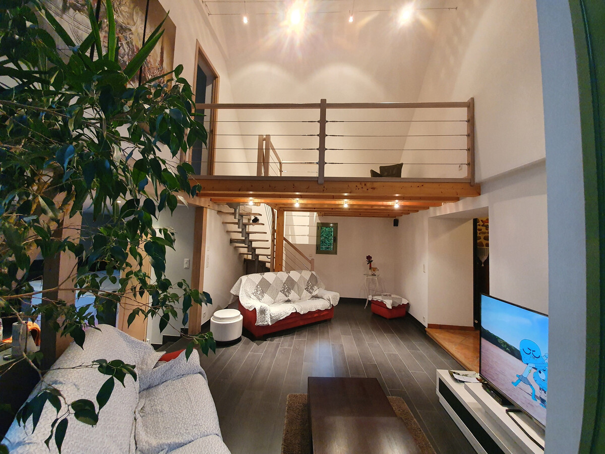 Gîte 8 chambres avec SPA, cheminée et forêt à Dollon - Photo 5