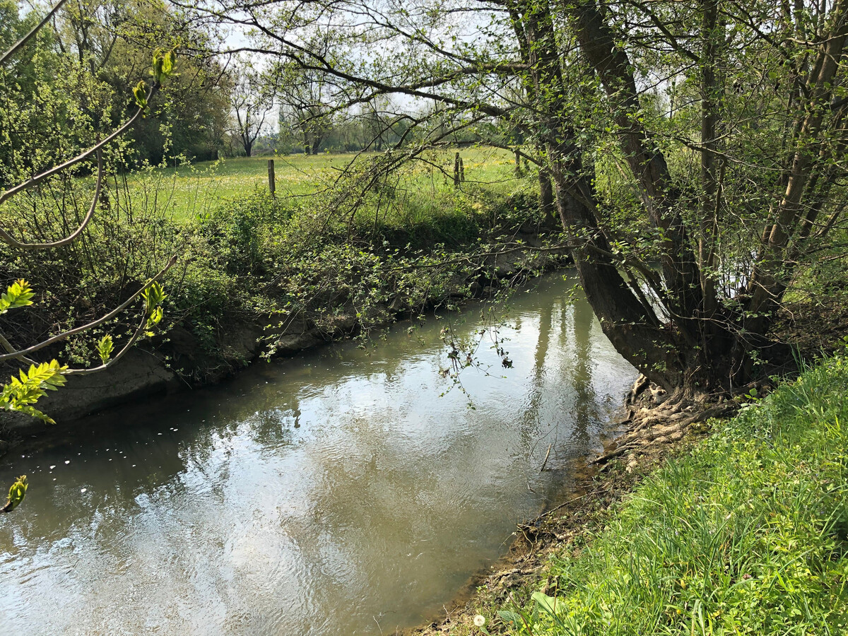 Gîte au moulin avec pêche sur l'Orne, 7 pers. - Photo 16