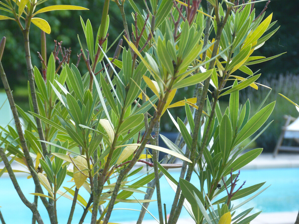 Gîte cocooning 4 pers. avec piscine à Dureil - Photo 6
