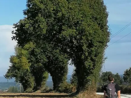 Gîte en campagne rénové avec cheminée, grands jardins, WiFi, près d'un village médiéval. - Photo 23