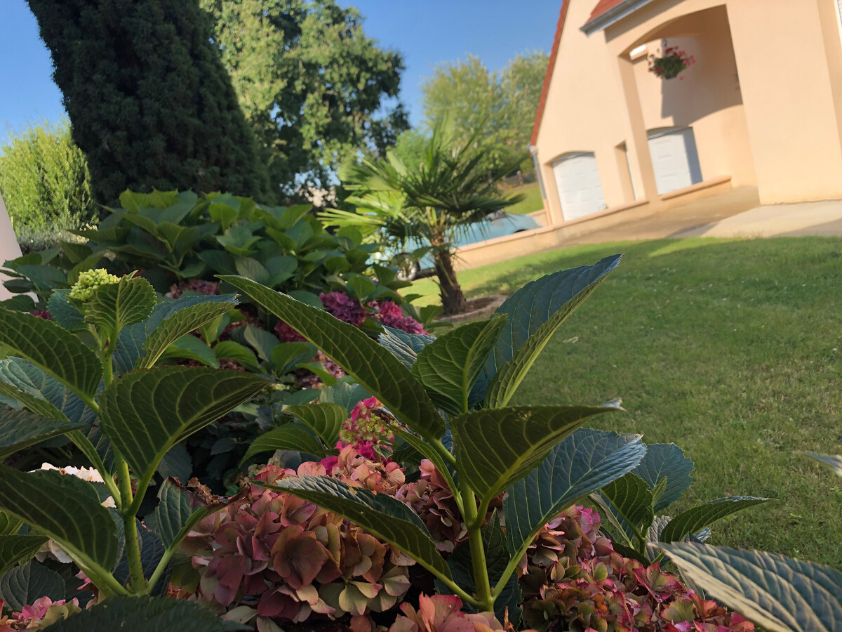 Gîte cosy 2 pers. à Saint-Georges-du-Bois, jardin et terrasse - Photo 11