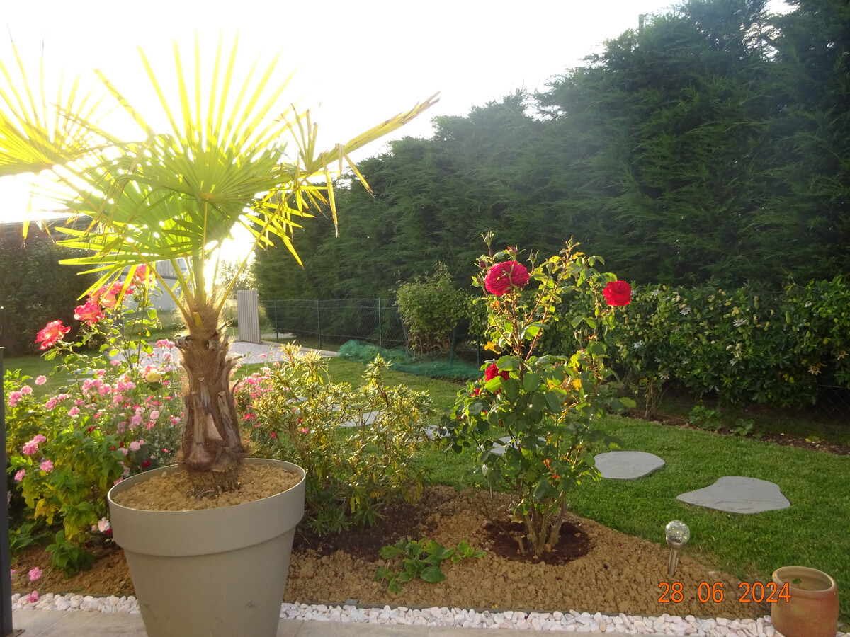 Gîte cosy 2 pers. à Saint-Georges-du-Bois, jardin et terrasse - Photo 21
