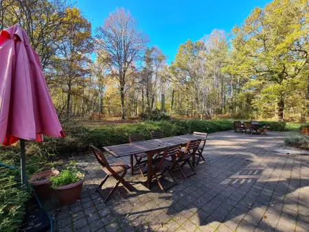 Gîte rustique 8 pers. en forêt de Sologne, 7 hectares privés - Photo 17