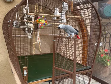 Gîte 8 pers. Berry avec piscine chauffée & golf à proximité : photo 17