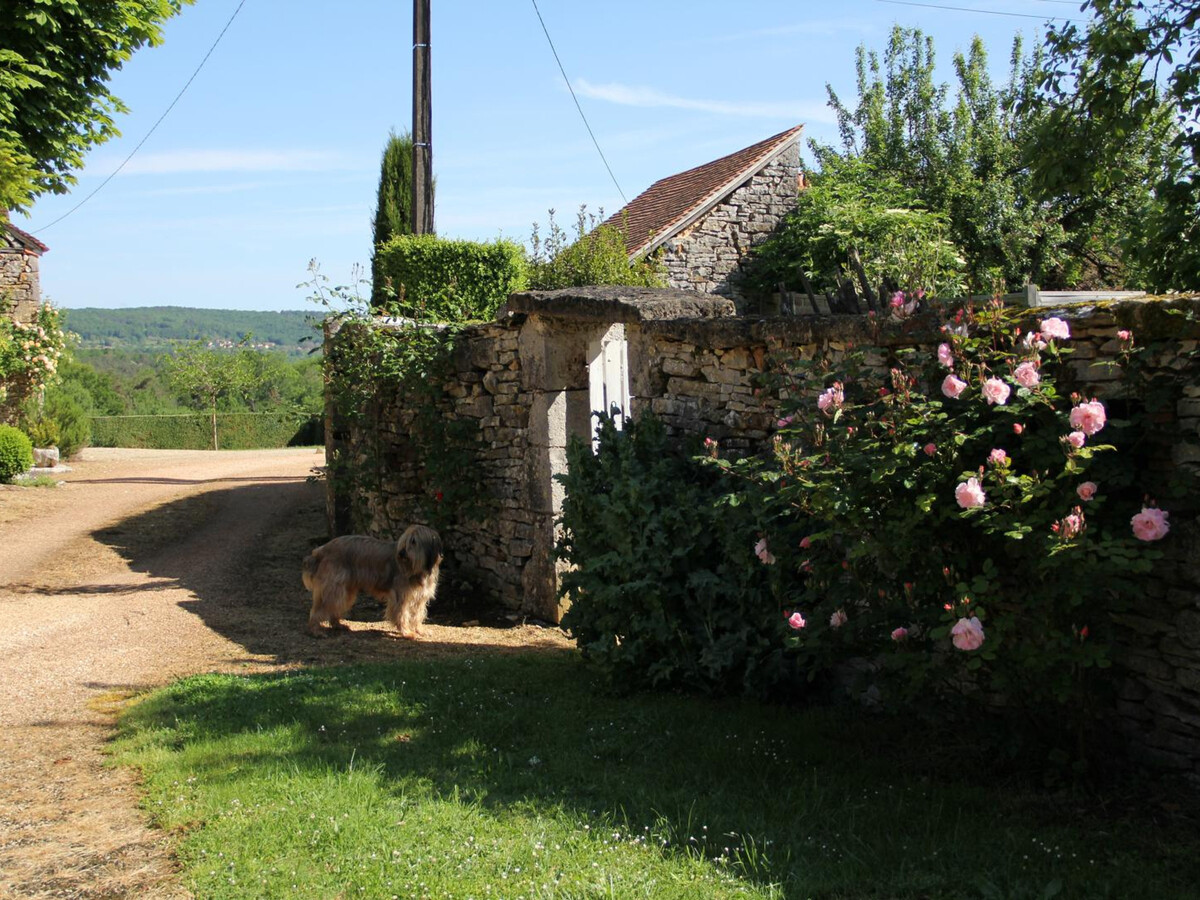 Gîte en pierre du XIe siècle, 4 pers., jardin et plancha - Photo 33