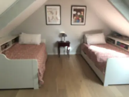 Longère rénovée 5 chambres, jardin 1000 m² au Palais - Photo 12