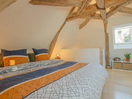 Gîte en ancien bûcher, 37m², parc 1 hectare à Dosches - Photo 10