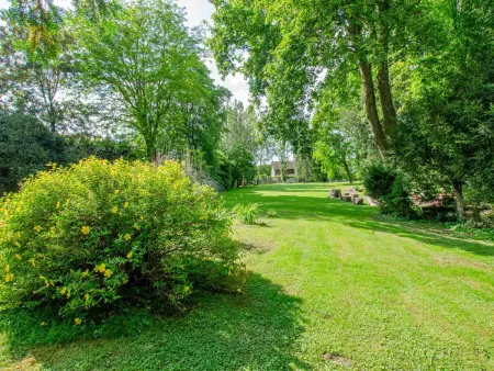 Gîte en ancien bûcher, 37m², parc 1 hectare à Dosches - Photo 12