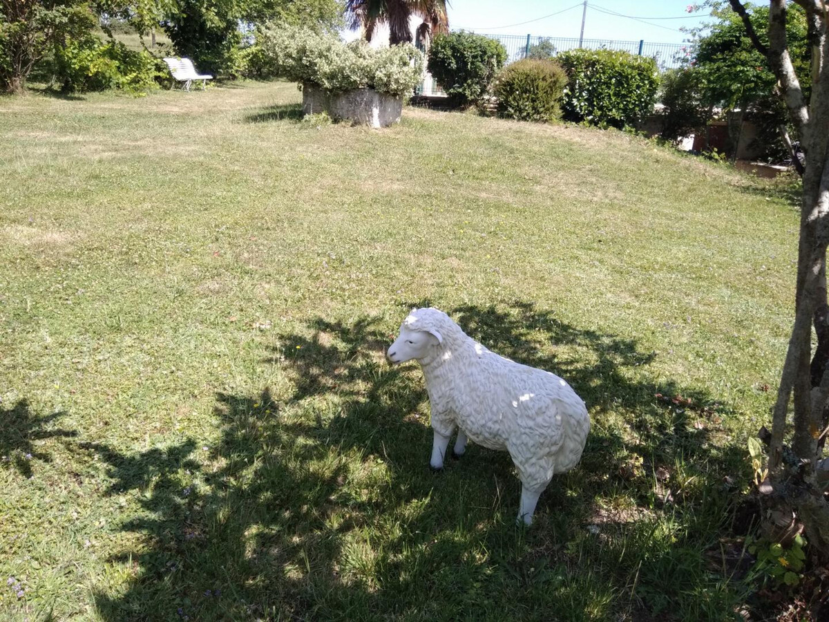 Gîte périgourd 4 pers., piscine et animaux acceptés - Photo 22