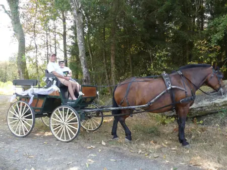Gîte climatisé 2 pers. Parc Périgord Limousin : photo 15
