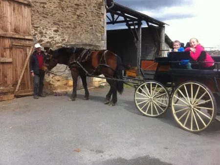 Gîte climatisé 2 pers. Parc Périgord Limousin : photo 16