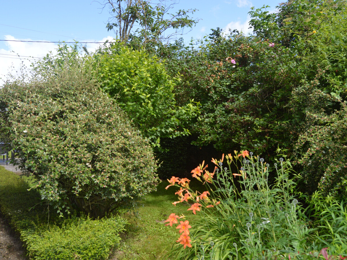 Gîte rural 5 pers. à Poulaines, près Zoo Beauval - Photo 9