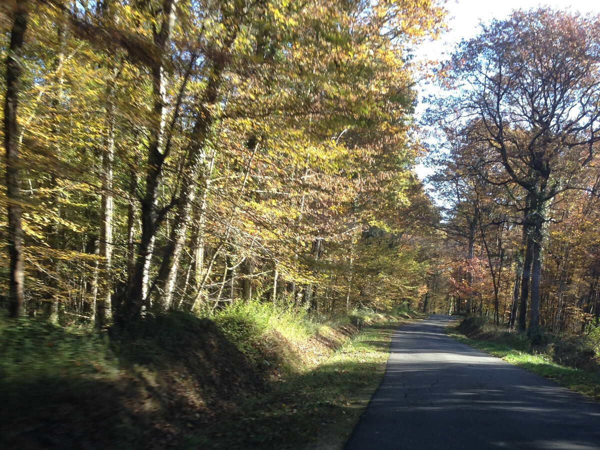 Gîte rural 5 pers. à Poulaines, près Zoo Beauval - Photo 23