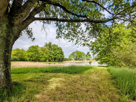 Gîte avec étang privé au cœur du Berry, à Saulnay : photo 5