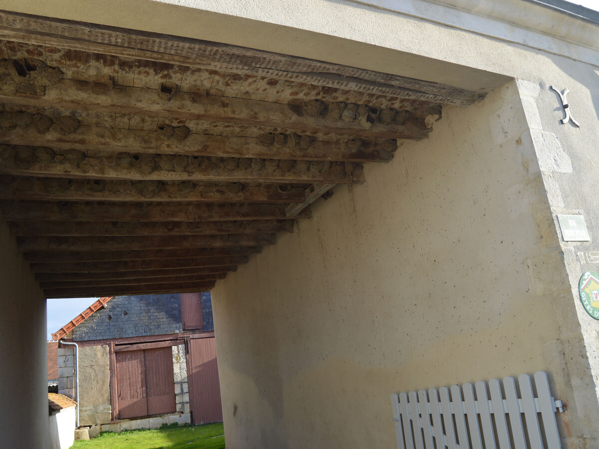 Maison des Hirondelles – Gîte 5 pers. Brenne, cour close - Photo 6