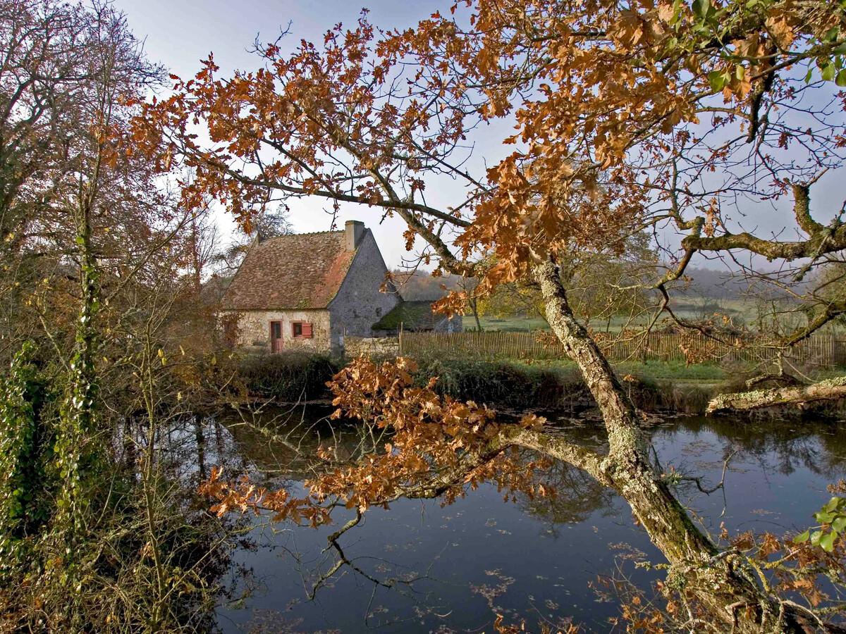 La Lézarderie, gîte XIXe siècle au cœur du Parc de la Brenne - Photo 27