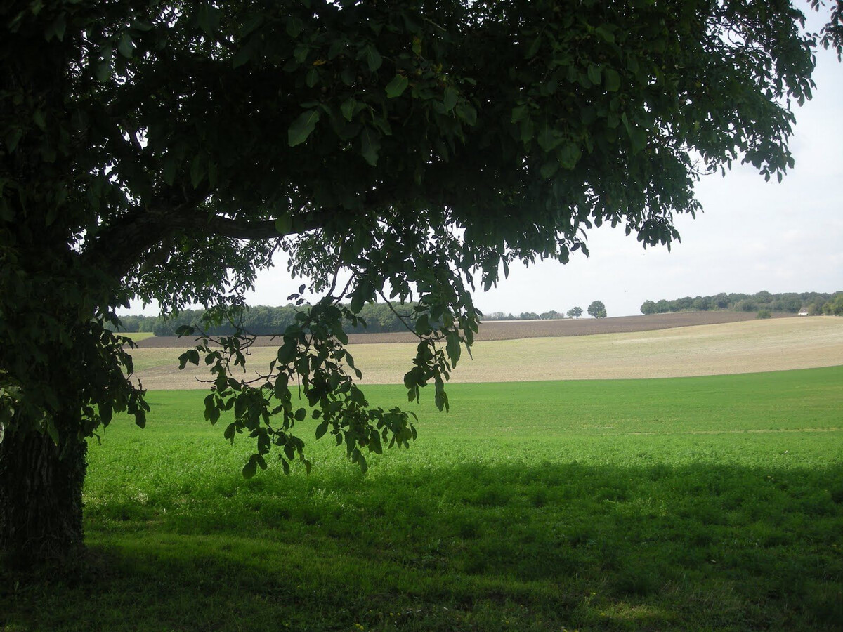 Ferme rénovée Berry, 10 pers., étang privé à 500 m - Photo 5