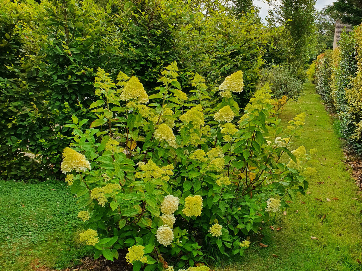 Gîte en Brenne avec bureau aménagé et jardin clos - Photo 17