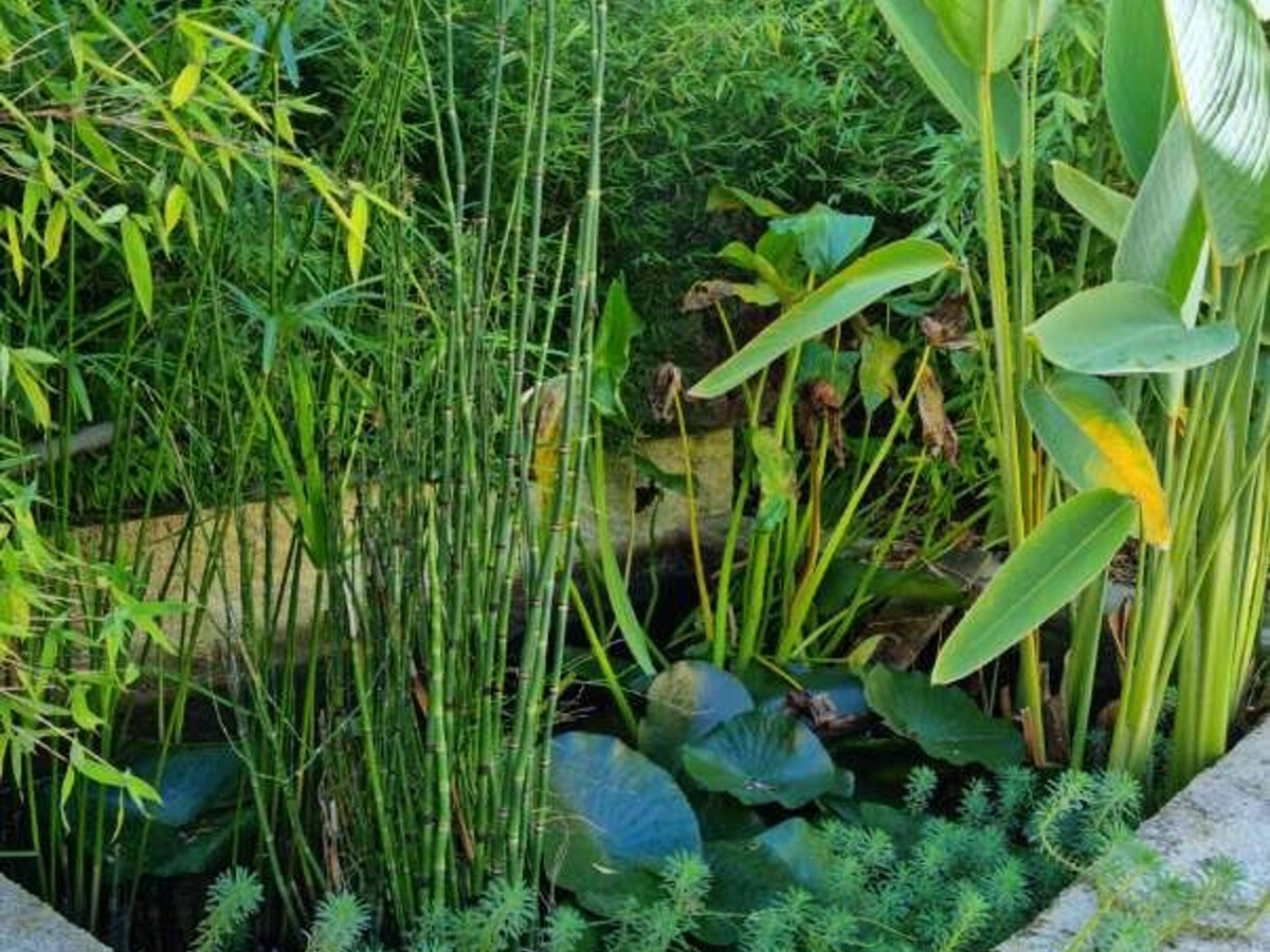 Gîte en Brenne avec bureau aménagé et jardin clos - Photo 20