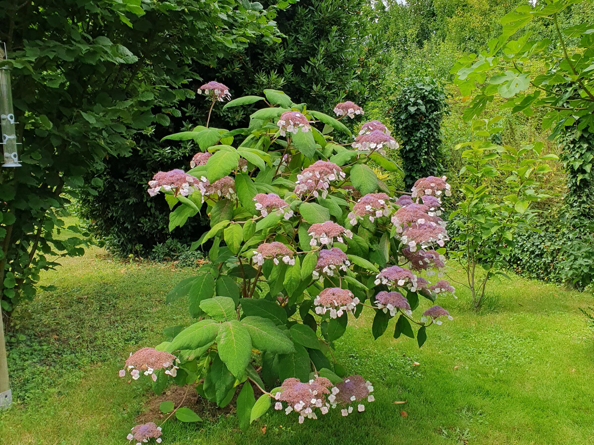 Gîte en Brenne avec bureau aménagé et jardin clos - Photo 23