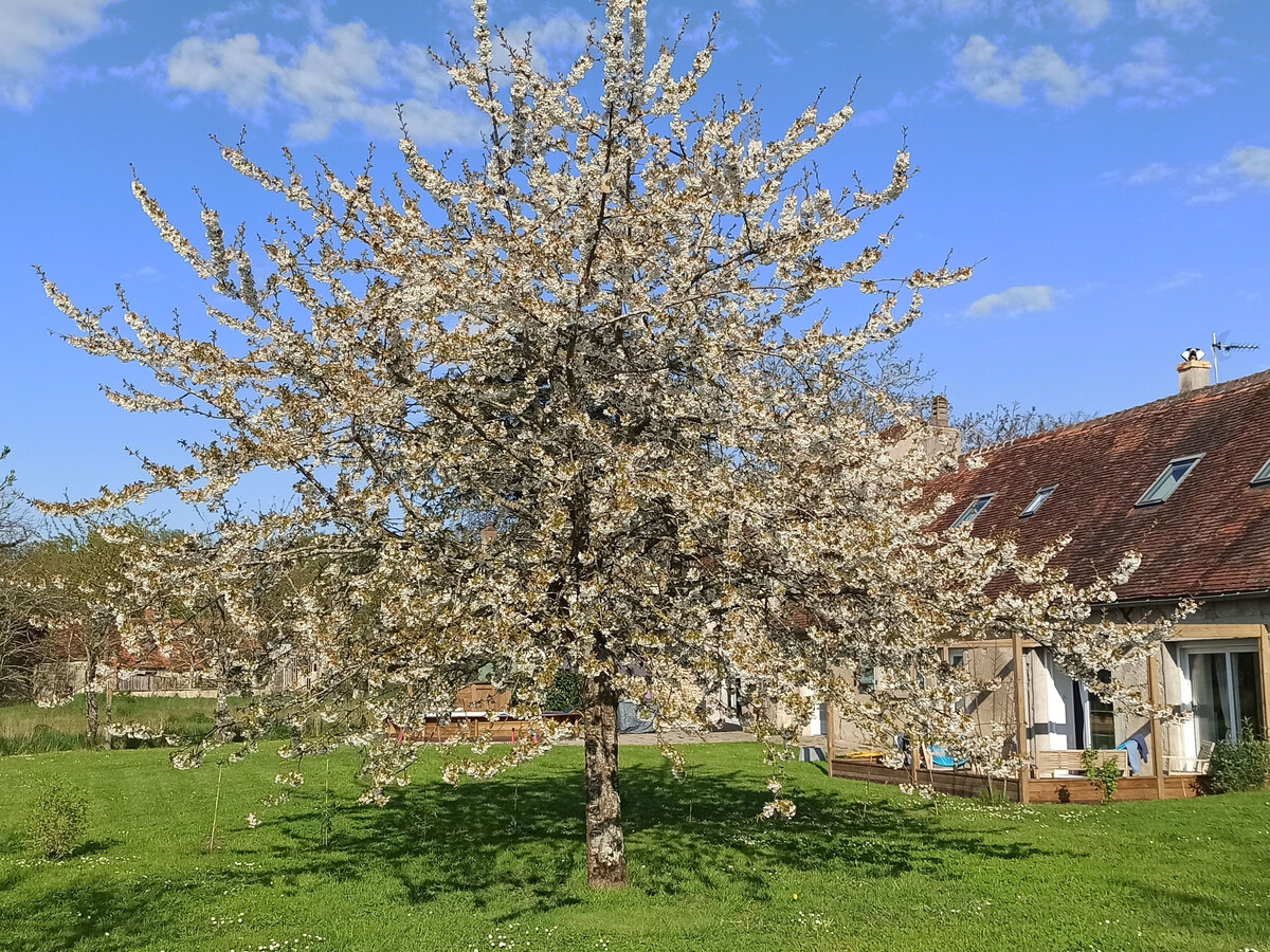 Longère 168 m² avec piscine chauffée en Berry - Photo 5