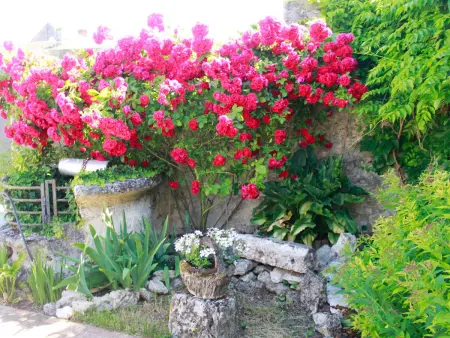 Longère 140 m² à Tavers, 6 pers., jardin et cour fermée : photo 28