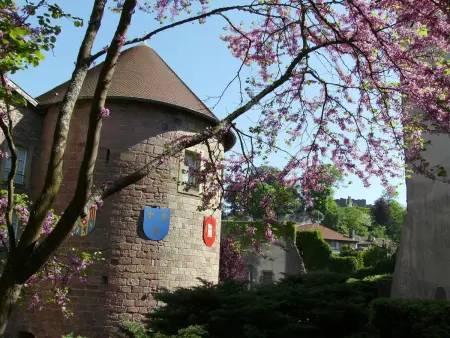 Gîte 2 chambres à Chantraine, parking et jardin : photo 19