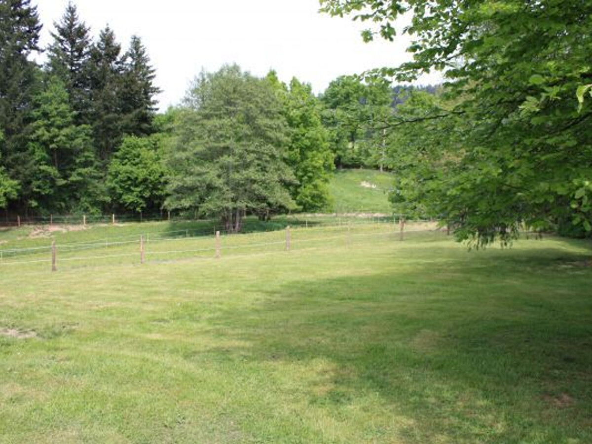 Gîte Ferme Rénovée 10 pers., cheminée et jeux à Belmont - Photo 14