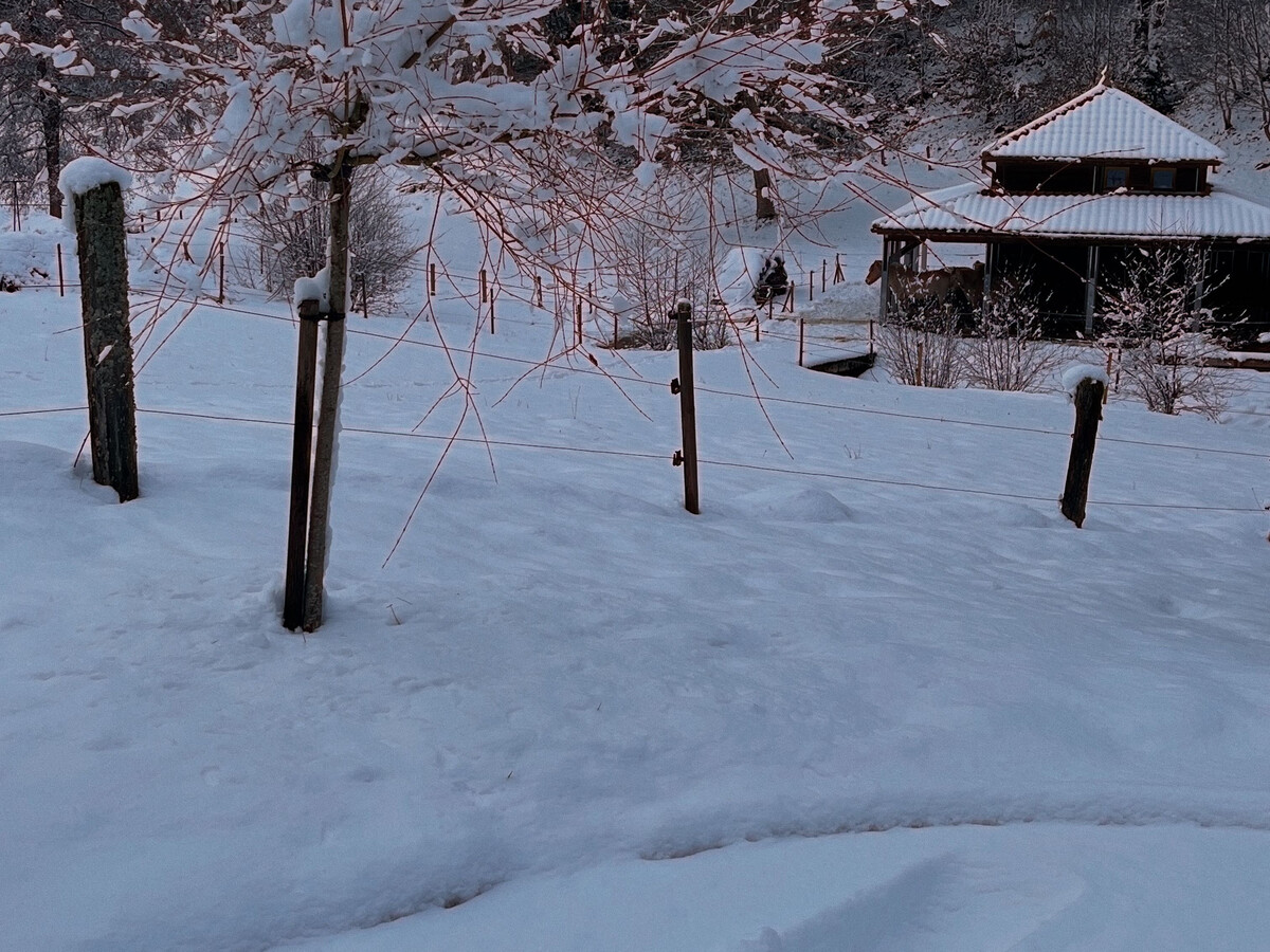 Gîte Ferme Rénovée 10 pers., cheminée et jeux à Belmont - Photo 32