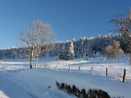 Gîte La Luge : chalet 2 pers. terrasse, à 30 min des pistes - Photo 23