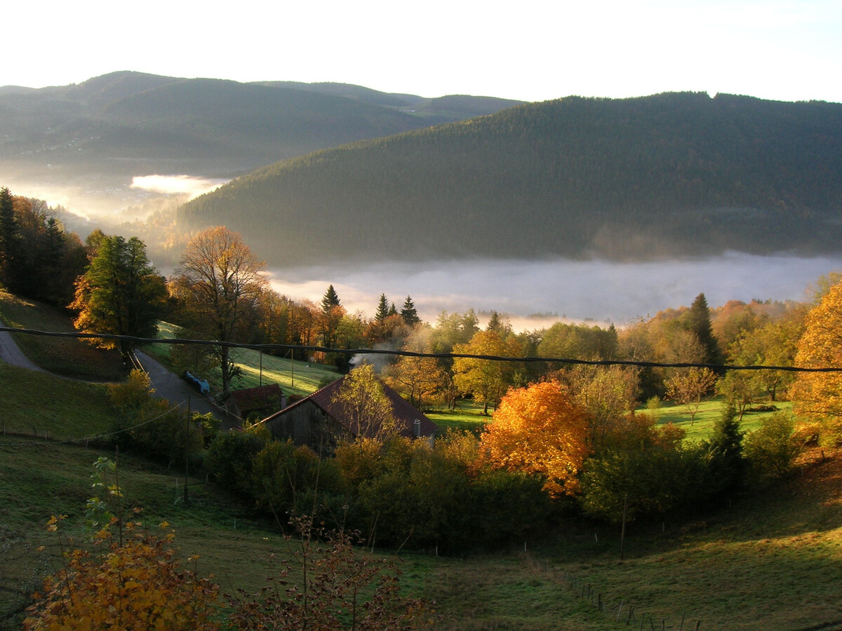 Appartement 4 pers. à 800m d'altitude à Cornimont - Photo 28