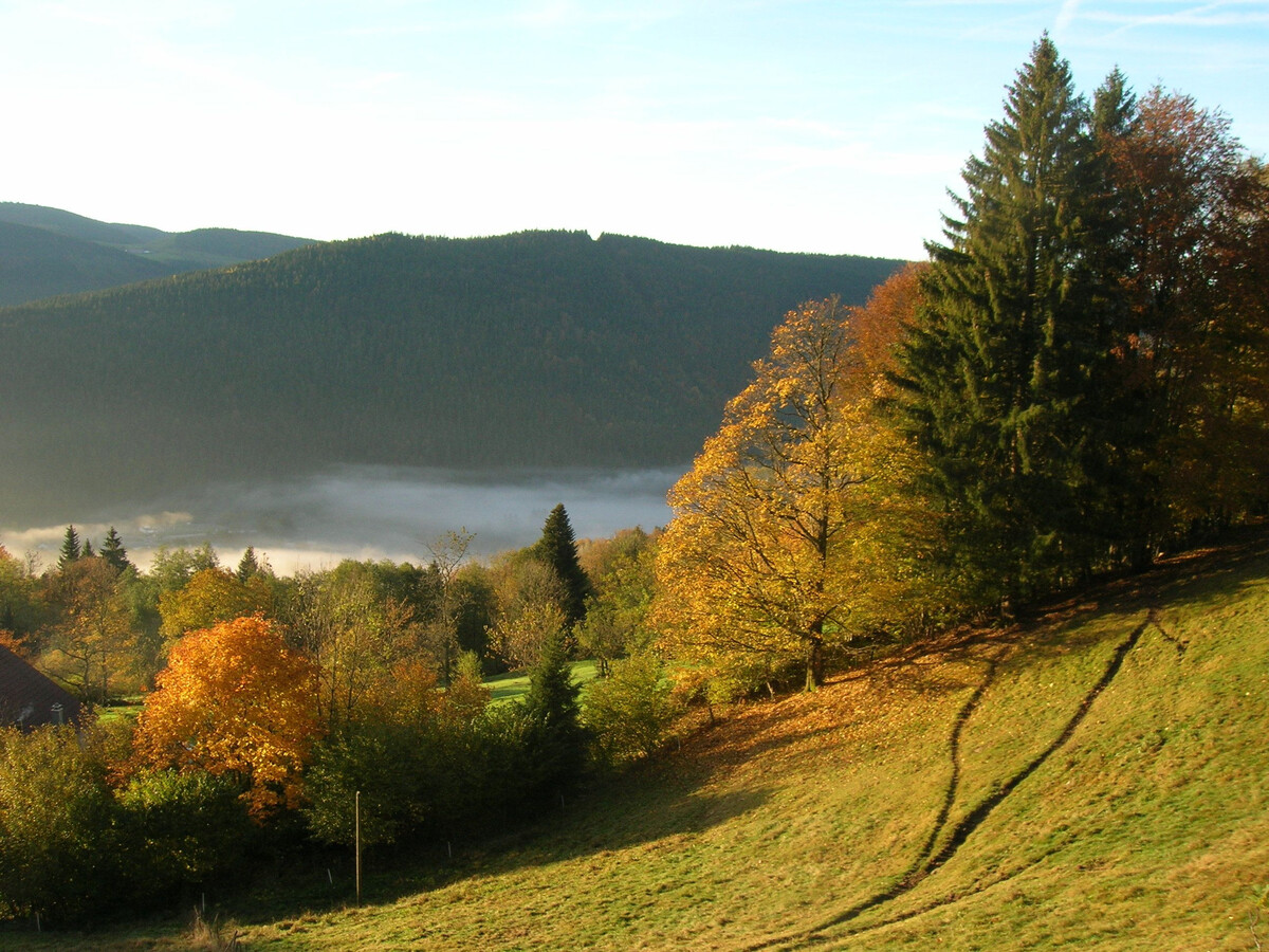 Appartement 4 pers. à 800m d'altitude à Cornimont - Photo 30