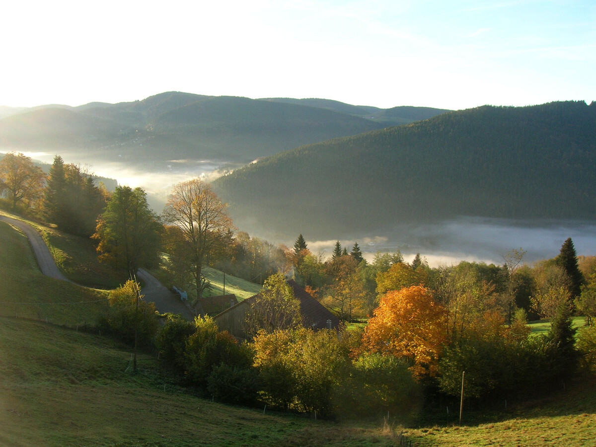 Appartement 4 pers. à 800m d'altitude à Cornimont - Photo 31