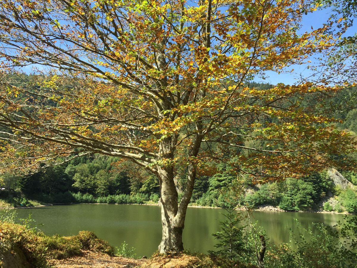 Gîte montagne avec sauna privé et piscine chauffée - Photo 16