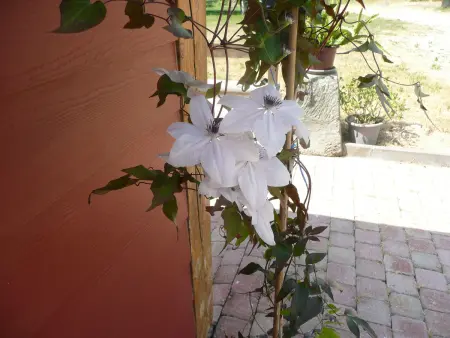 Gîte Tranquille avec Cheminée, Terrasse sur la Saône et Borne EV : photo 23