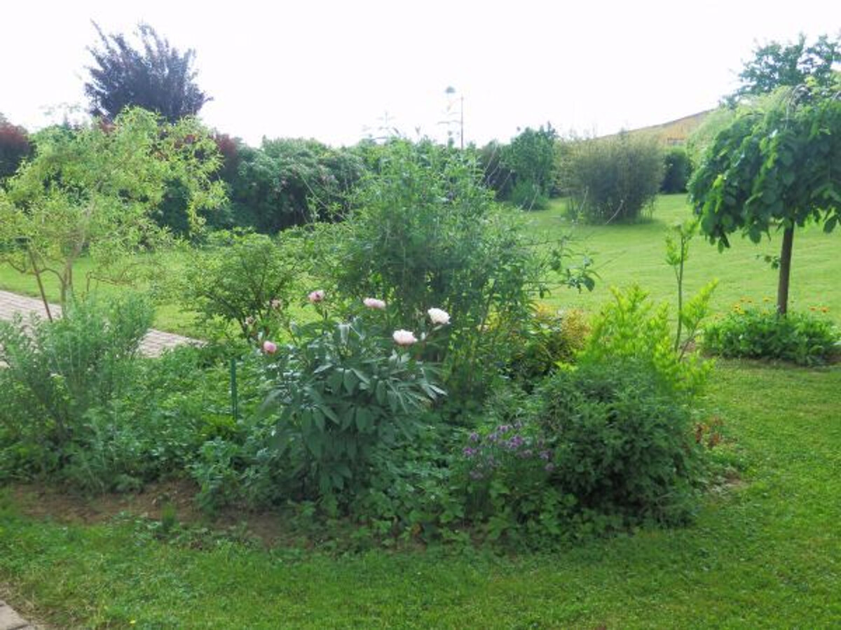Gîte de caractère avec terrasse à Lironcourt, poêle à bois - Photo 21