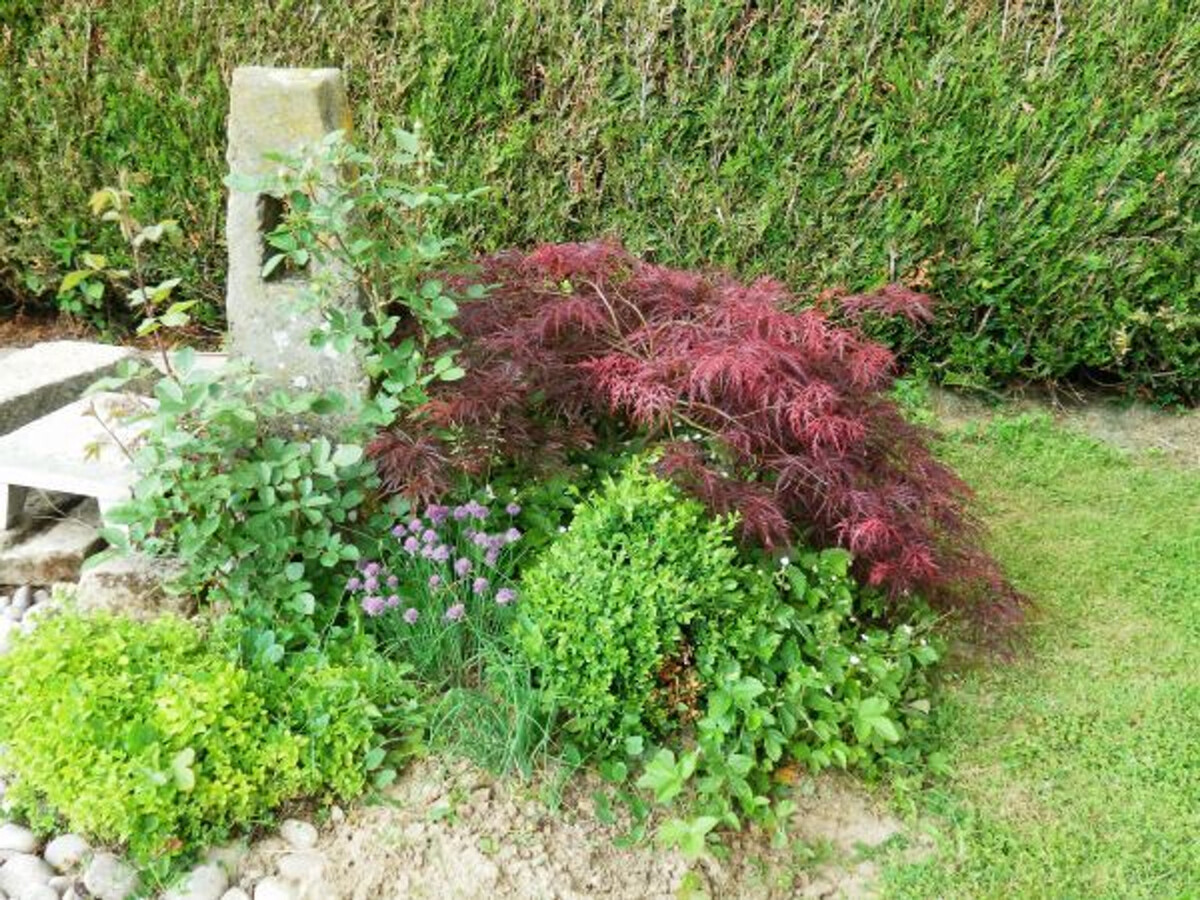 Gîte de caractère avec terrasse à Lironcourt, poêle à bois - Photo 24