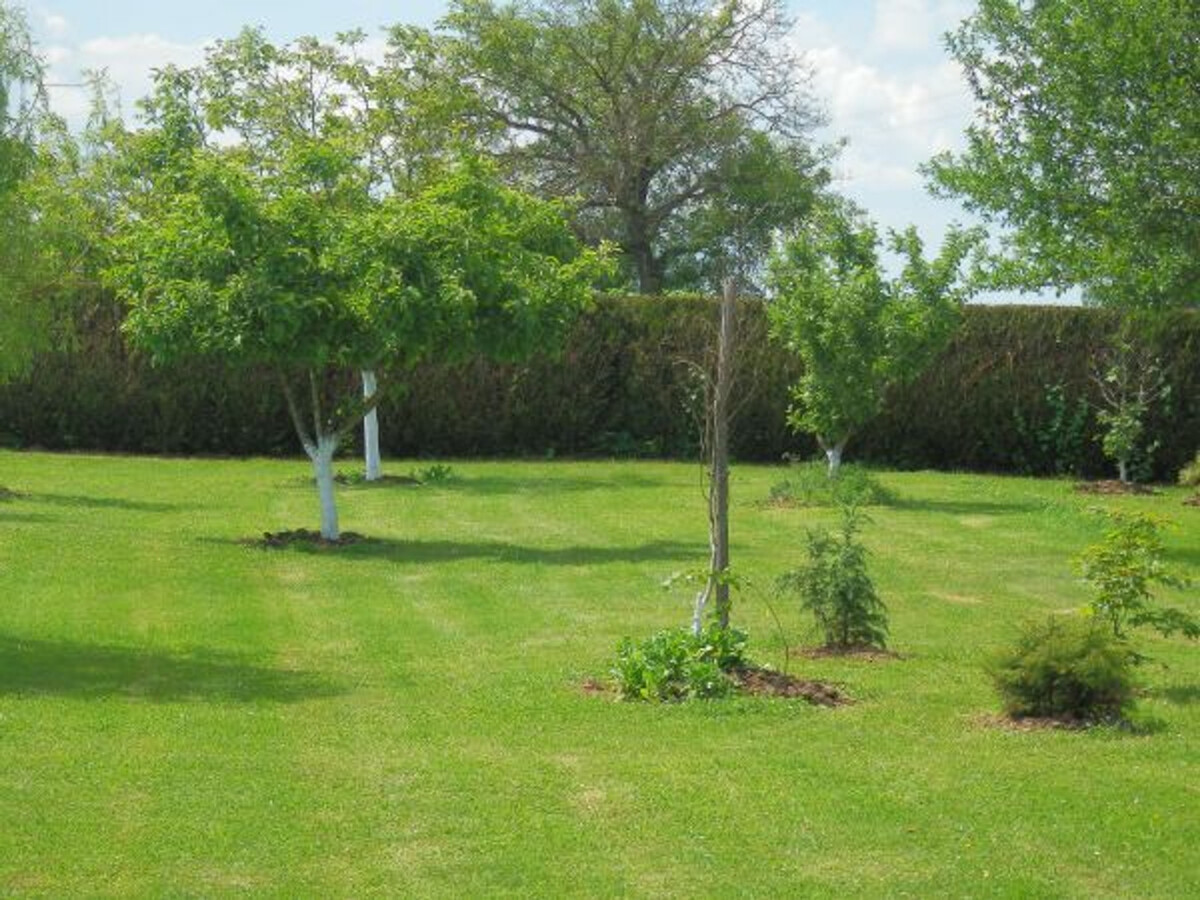 Gîte de caractère avec terrasse à Lironcourt, poêle à bois - Photo 25