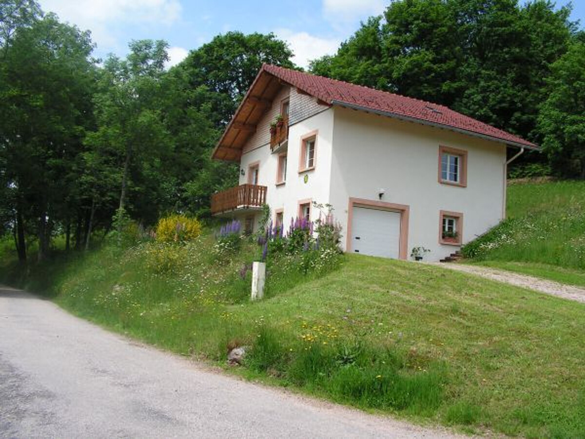 Gîte 6 personnes avec garage, balcon et terrain à Gérardmer - Photo 29