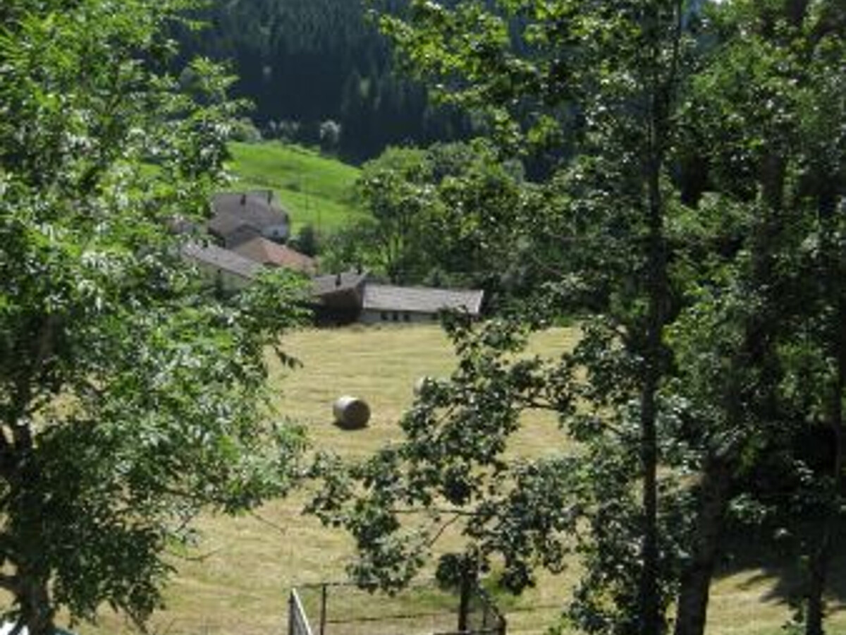 Gîte 6 personnes avec garage, balcon et terrain à Gérardmer - Photo 35