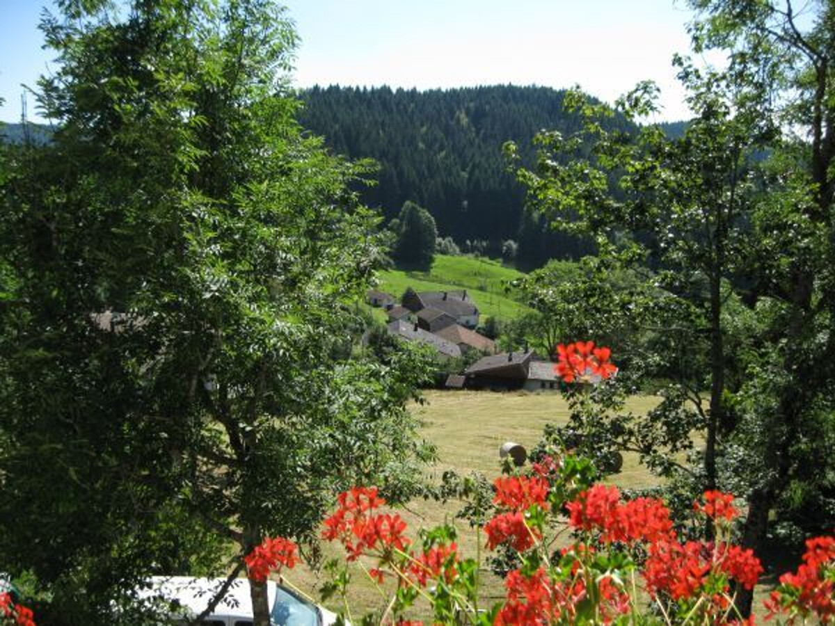 Gîte 6 personnes avec garage, balcon et terrain à Gérardmer - Photo 36