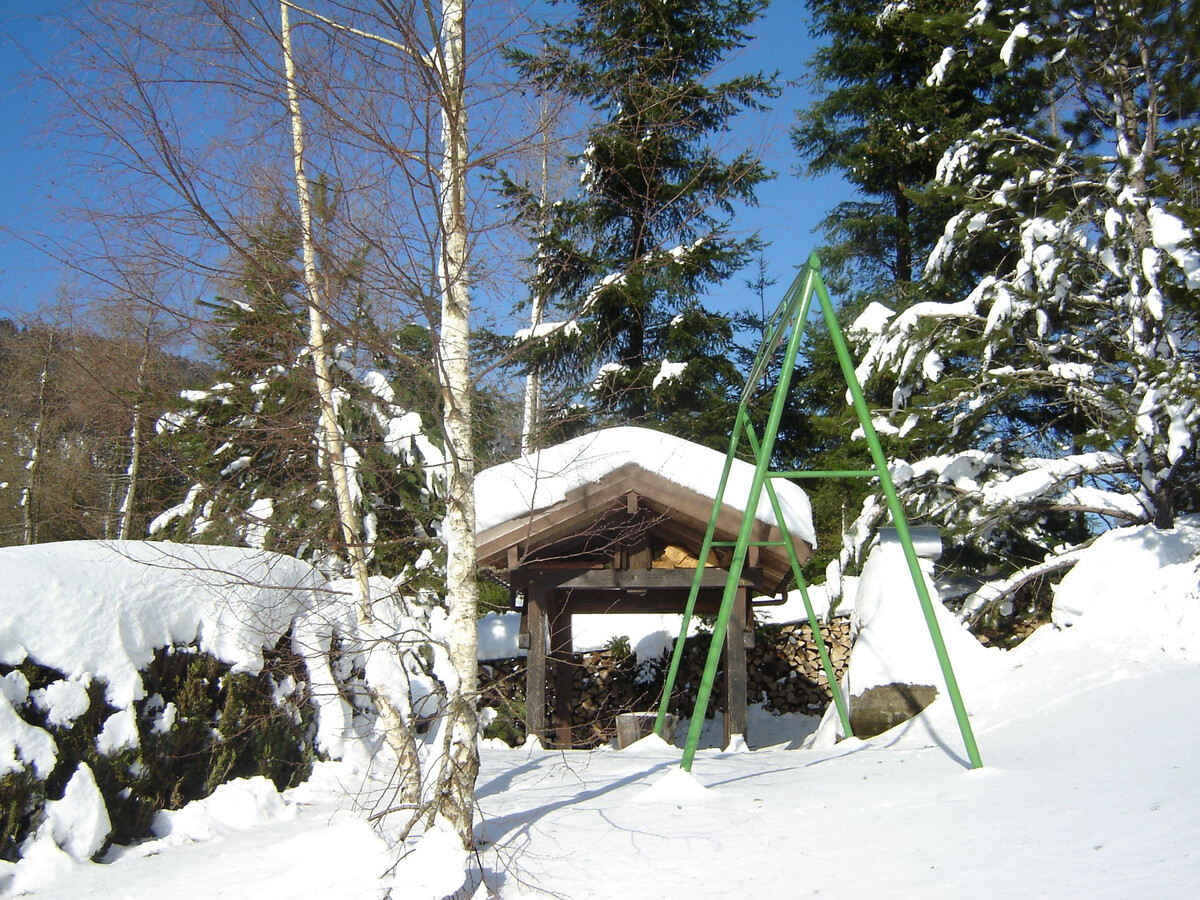 Gîte montagne La Bresse, 2 ch., garage et jardin - Photo 20