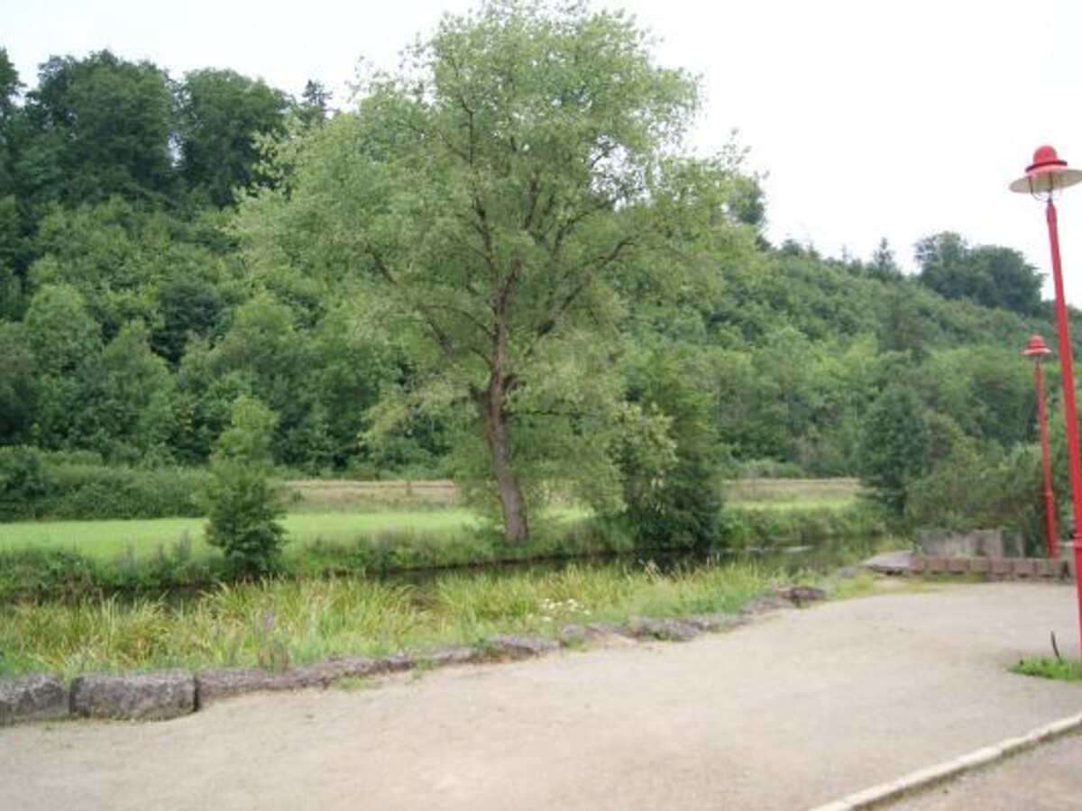 Le Pressoir, gîte PMR à Rebeuville, pêche et nature - Photo 28