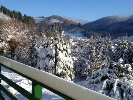 Maison de charme à Lubine, idéale pour randonnées et famille, proche Alsace et stations de ski - Photo 3