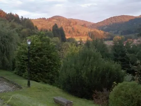 Maison de charme à Lubine, idéale pour randonnées et famille, proche Alsace et stations de ski - Photo 15