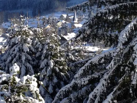 Maison de charme à Lubine, idéale pour randonnées et famille, proche Alsace et stations de ski - Photo 25